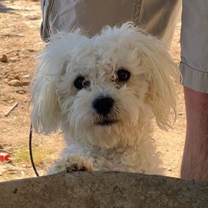 Meet your Posher, Darly